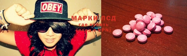 ГАЛЛЮЦИНОГЕННЫЕ ГРИБЫ Аркадак
