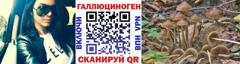 Псилоцибиновые грибы прущие грибы  kraken онион  нарко площадка официальный сайт  Богородск 